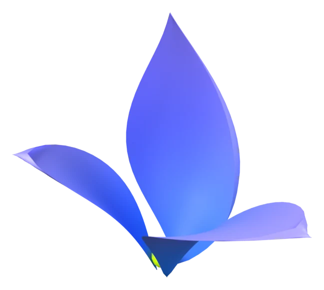 Flor com duas pétalas abertas